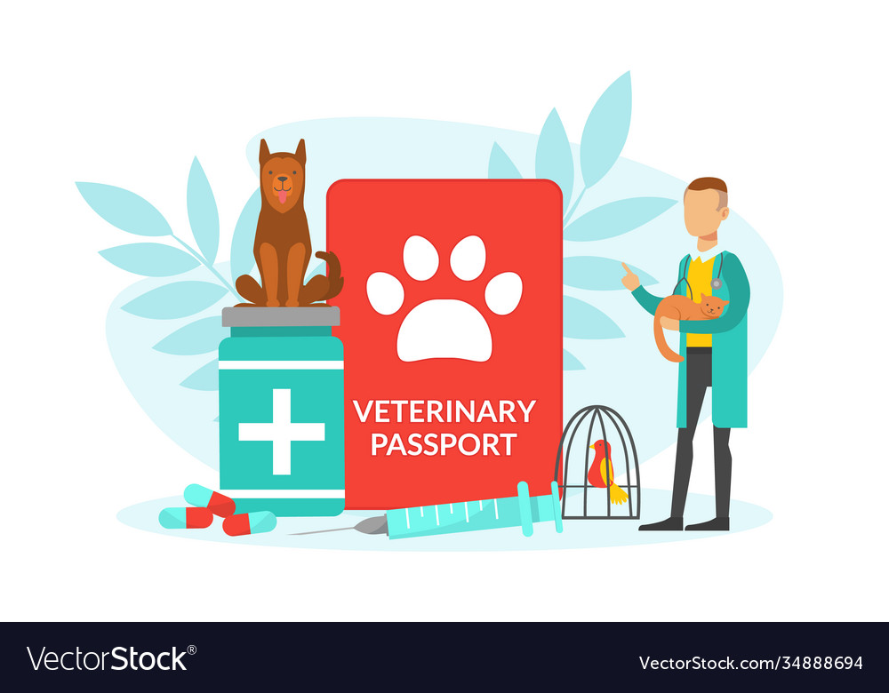 Cute Veterinarian Examining Small Animal