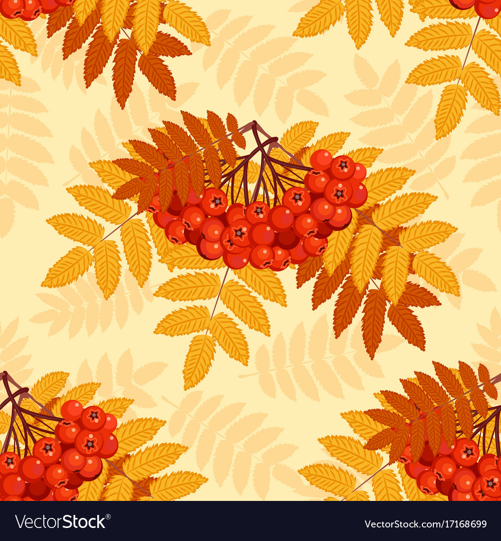 Autumn seamless pattern with rowan