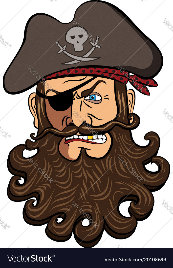 Pirate Face - Close-Up