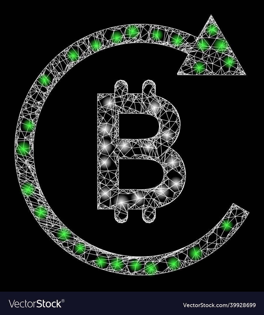 Shiny net mesh bitcoin repay with glare spots Vector Image Shiny net mesh bitcoin repay with glare spots