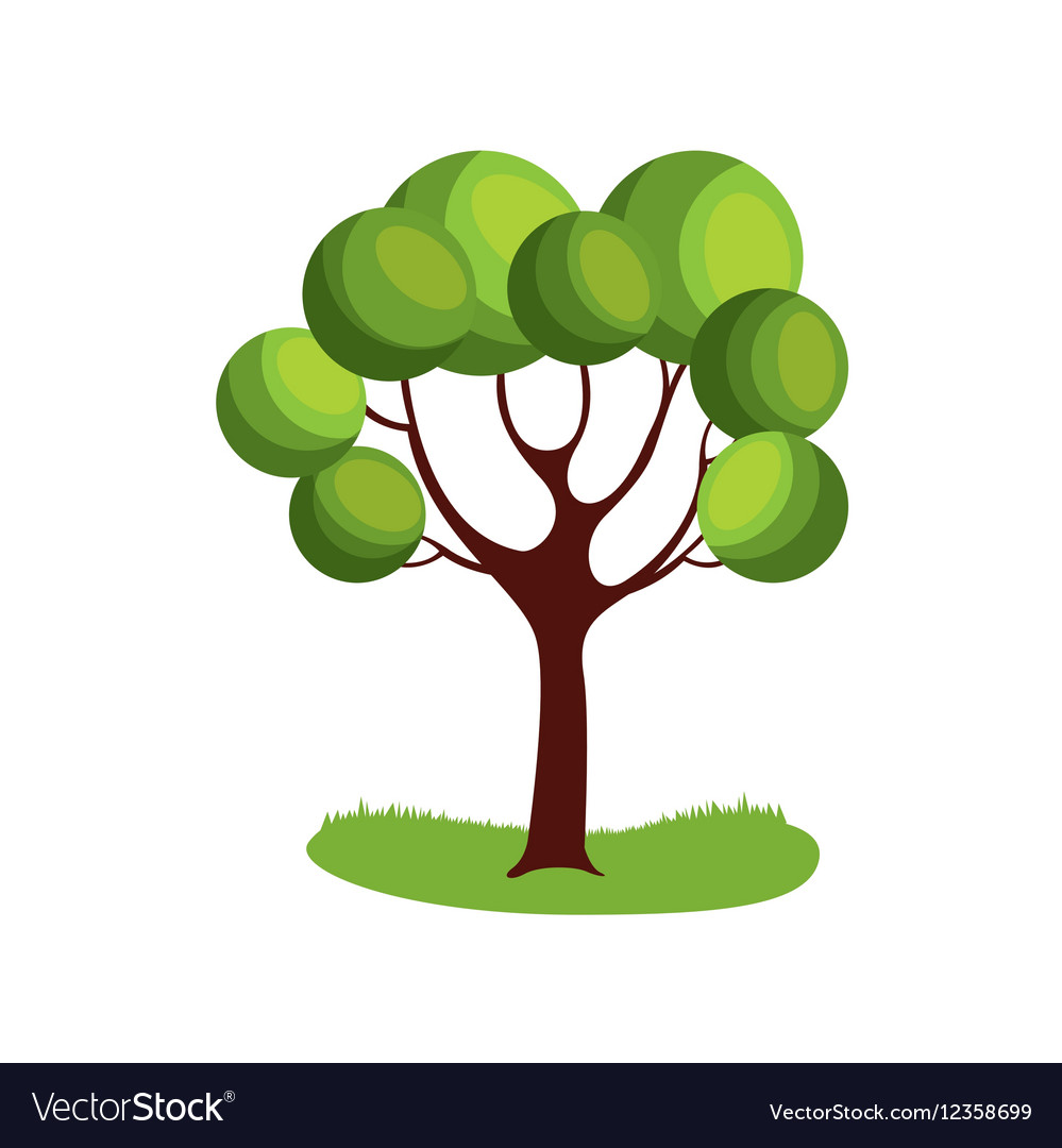 Tree plant icon Royalty Free Vector Image - VectorStock