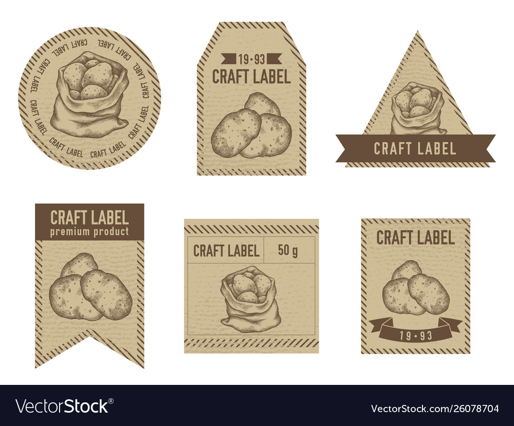 Craft Labels Vintage Design vector image Craft Labels Vintage Design
