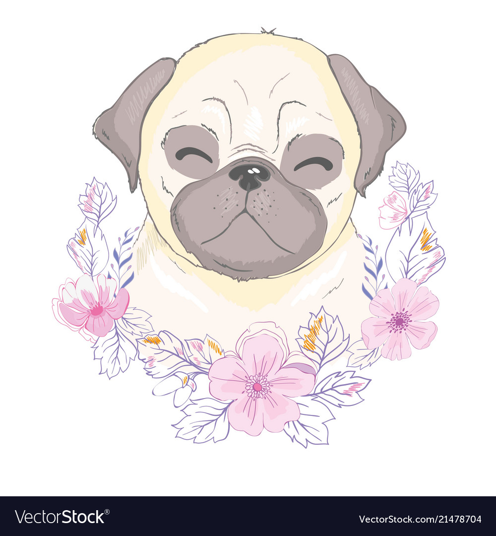 Pug puppy Royalty Free Vector Image - VectorStock