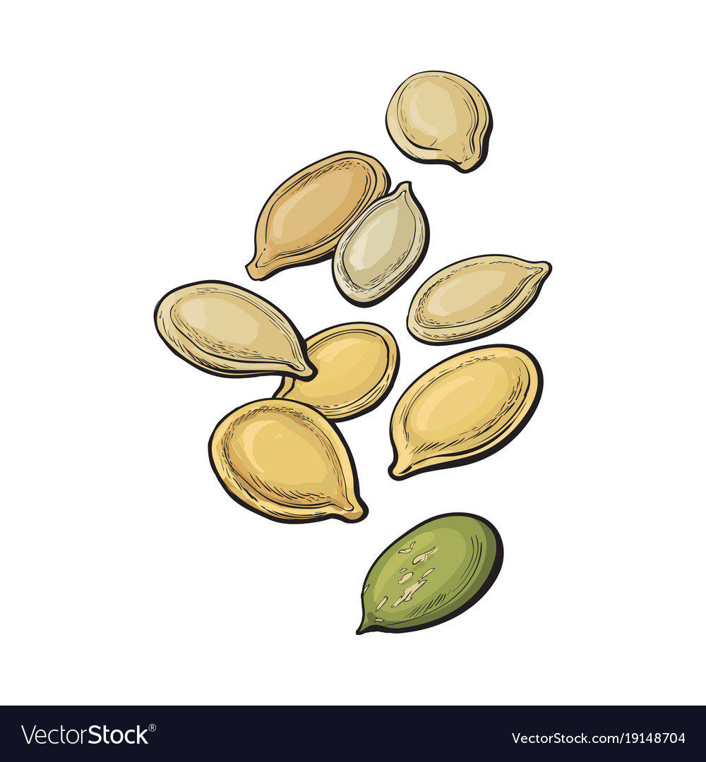 Pumpkin Seeds - Isoliert