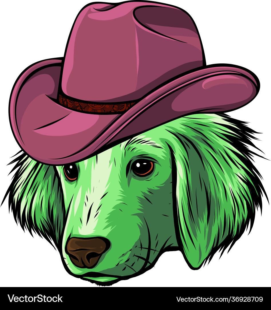 dog fedora