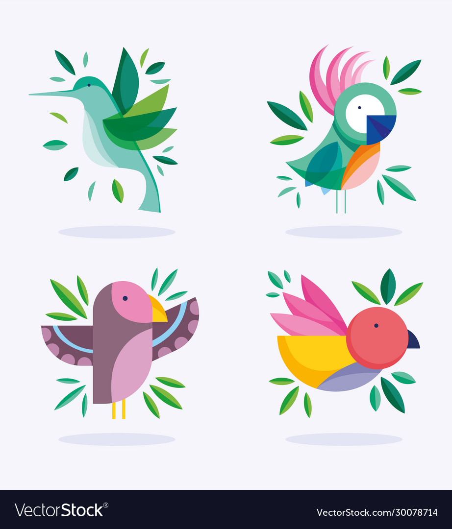 FLORA & FAUNA 自然のデザイン Birds different foliage nature fauna flora design Vector Image