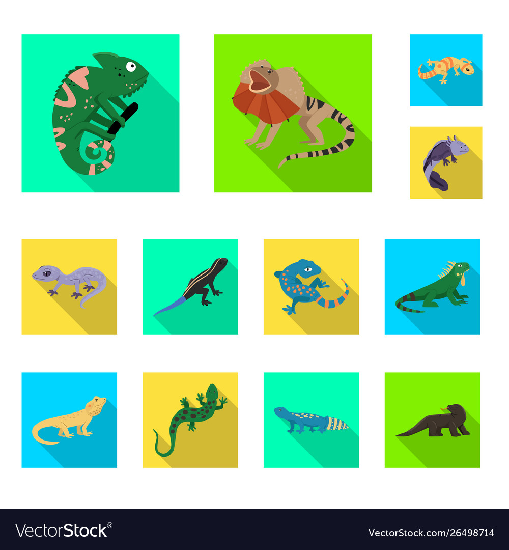 Isolated object tail and fauna symbol set vector image Isolated object tail and fauna symbol set