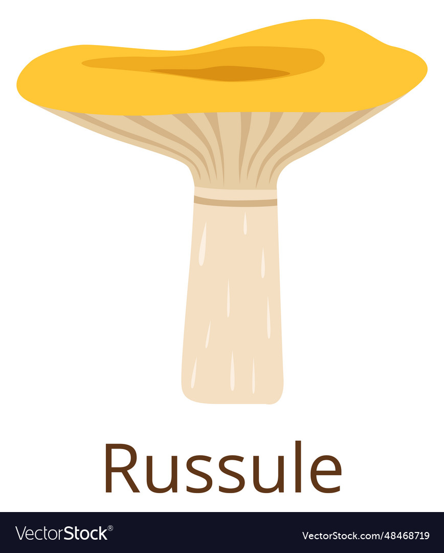 Russula Mushroom Color Icon Autumn Forest Fungus Vector Image