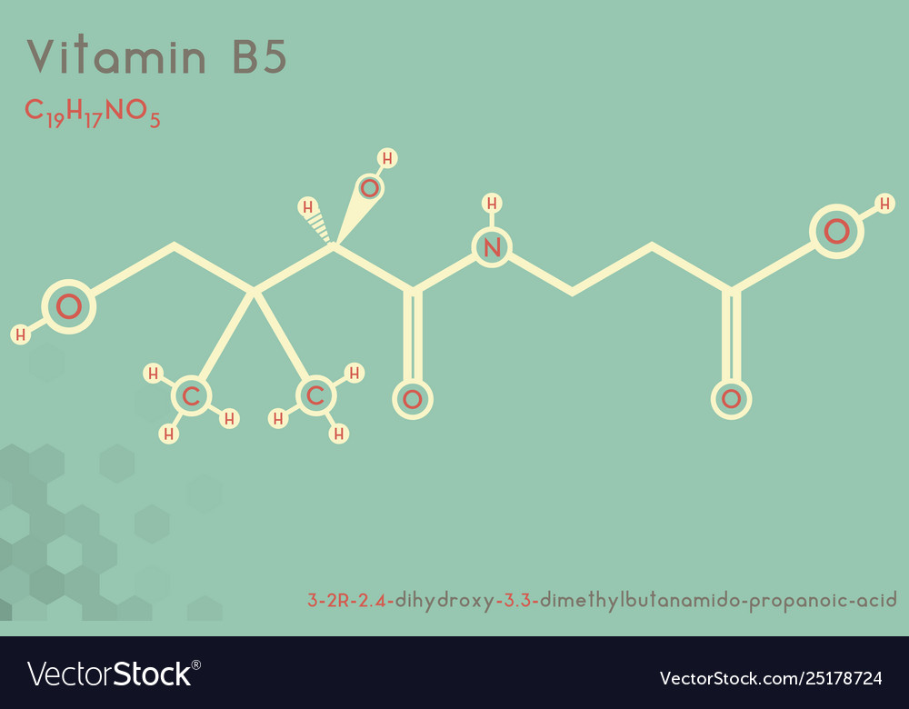 Infographic molecule vitamin b5