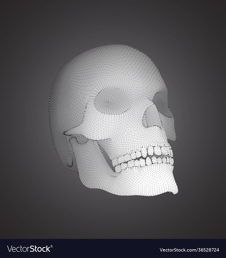 Set human skulls with square and triangular