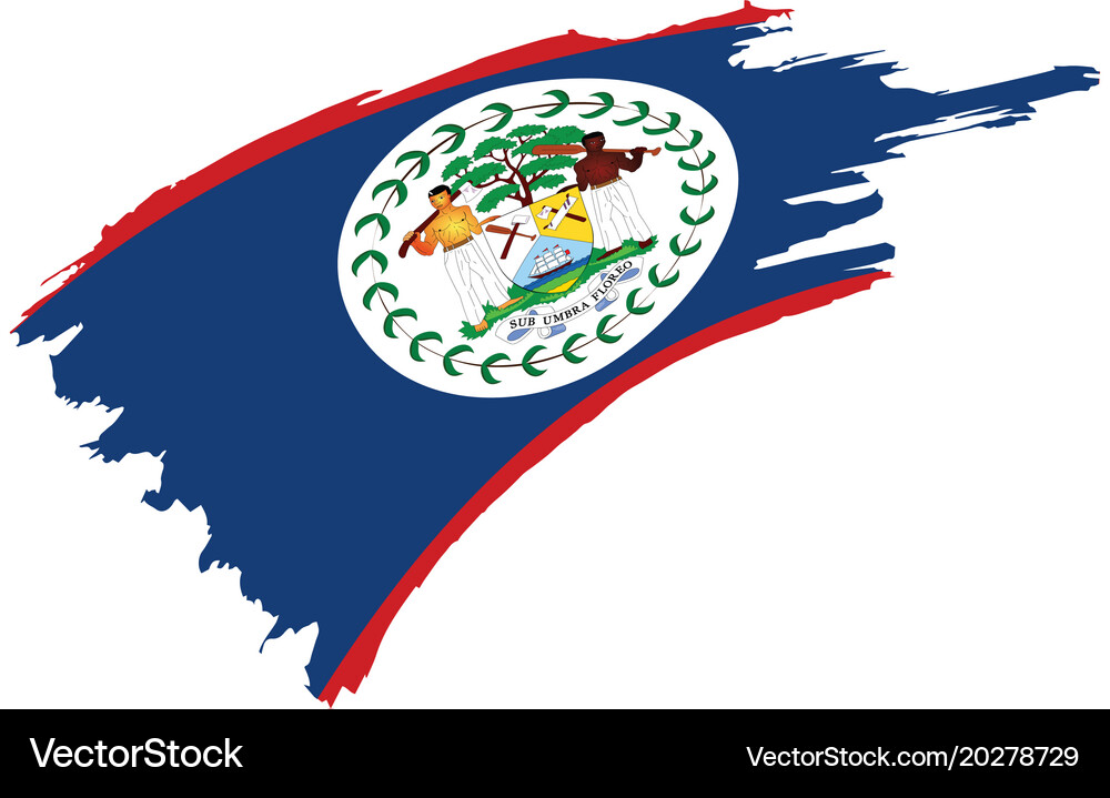 Belize flag Royalty Free Vector Image - VectorStock