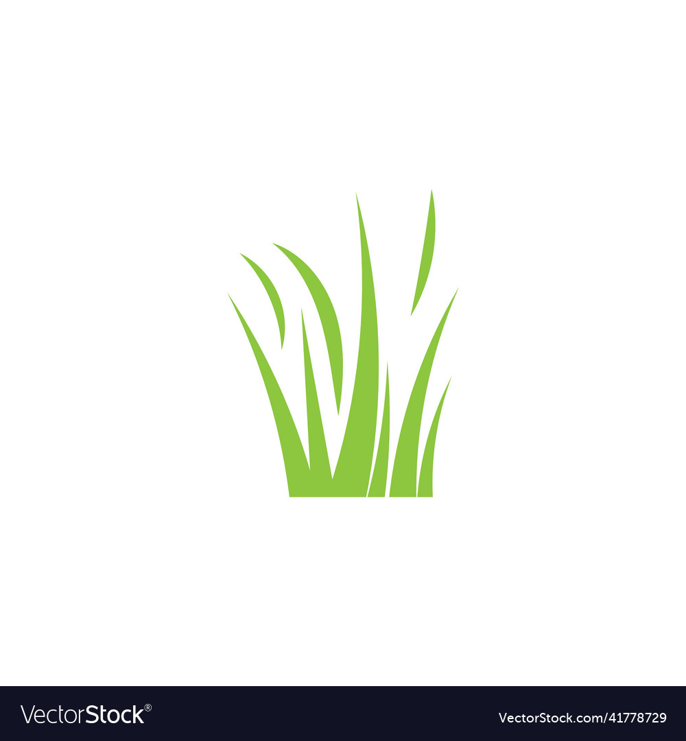 Gras