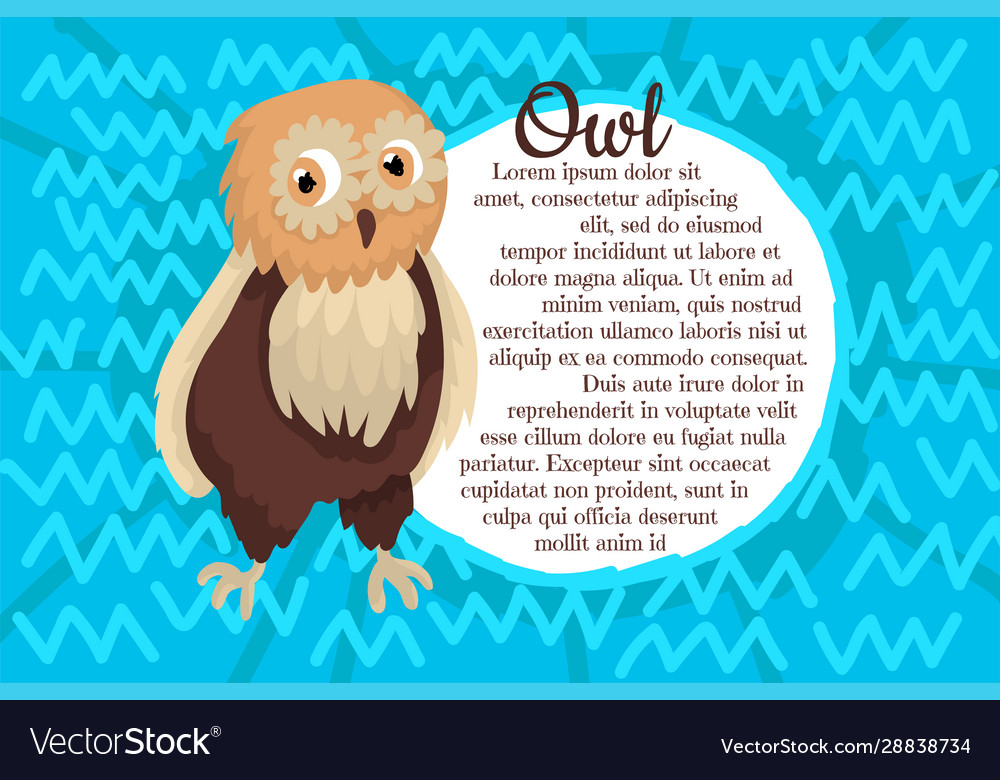 Owl a decorative background with pattern