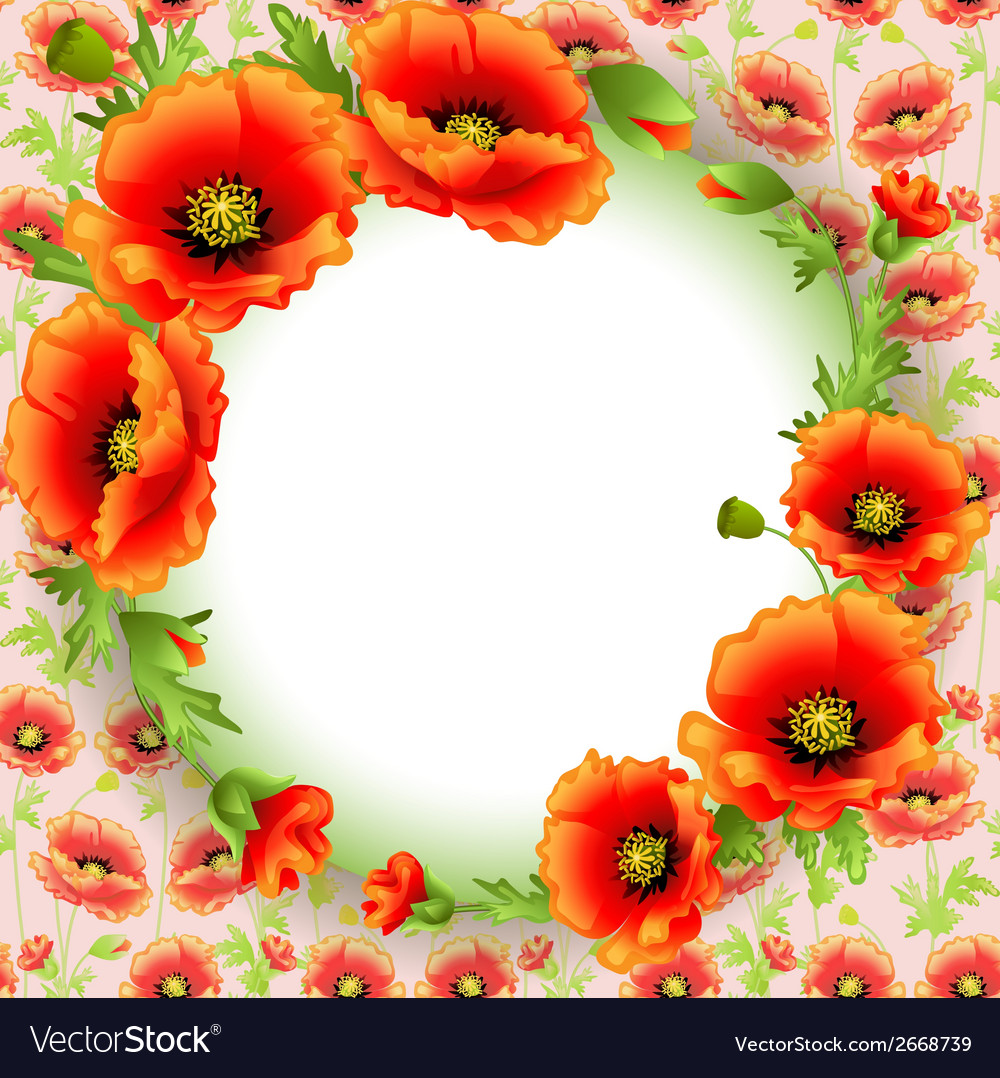 Background frame with poppies in a circle and plac