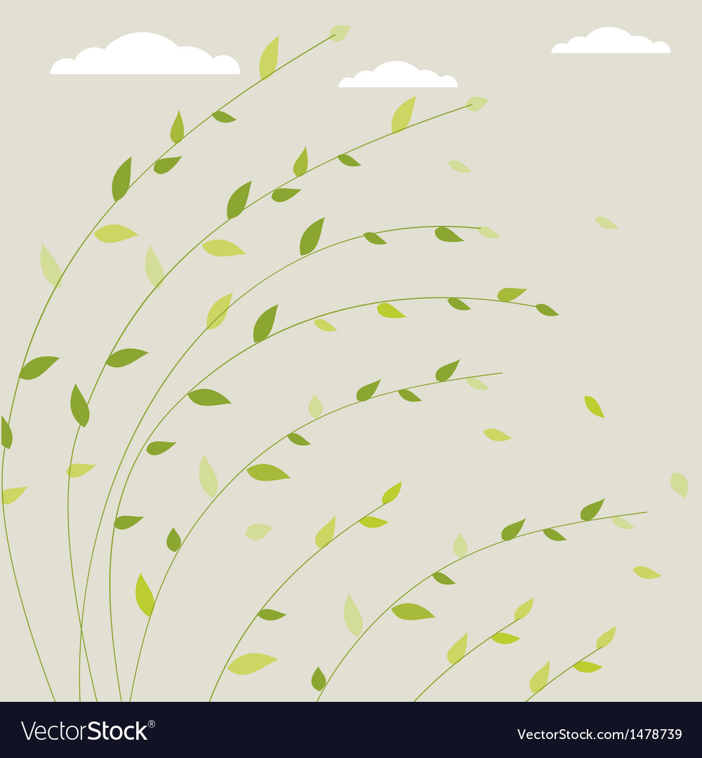 Spring Tree Branches Background