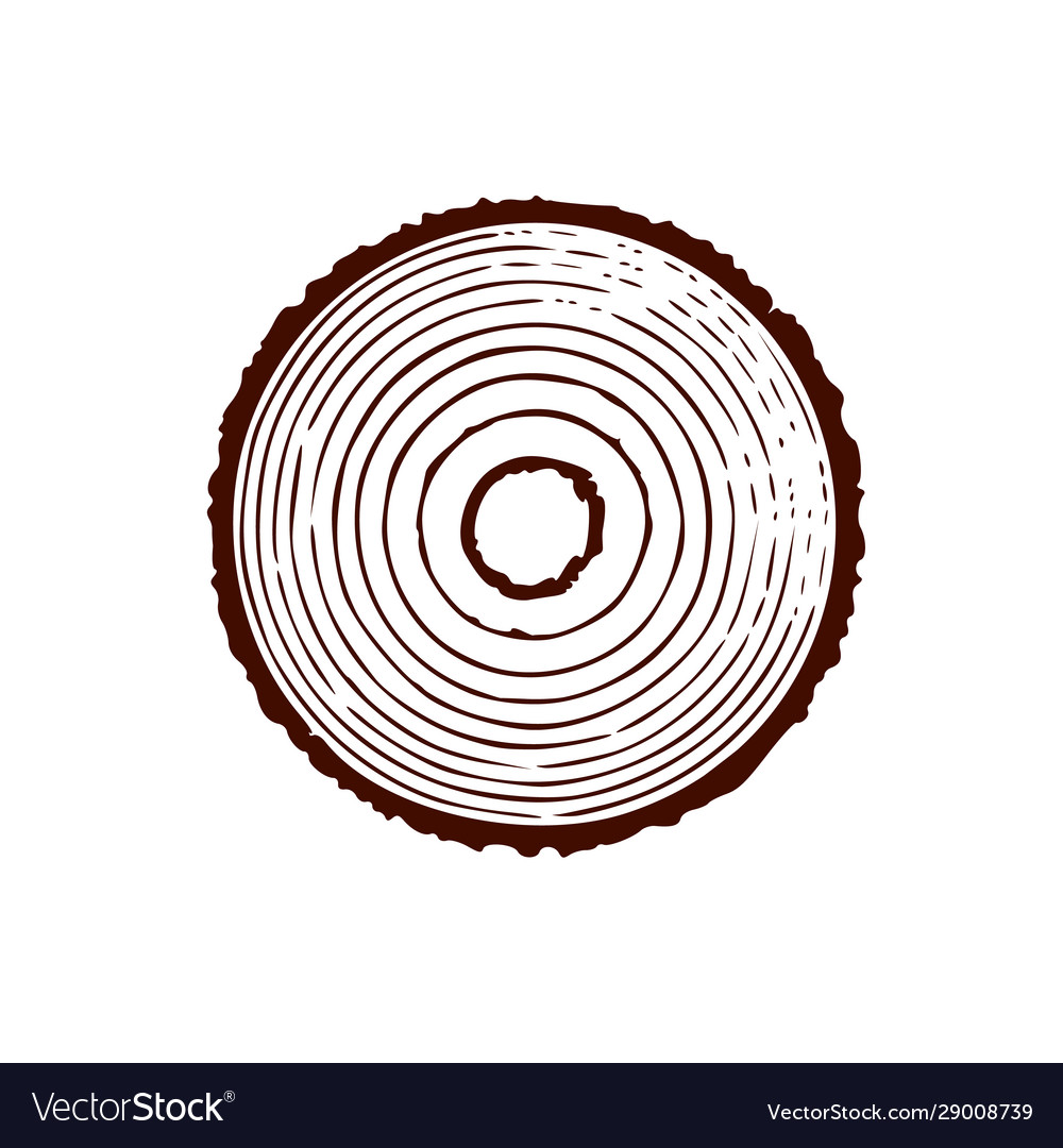 Tree trunk with rings annual growth vector image Tree trunk with rings annual growth