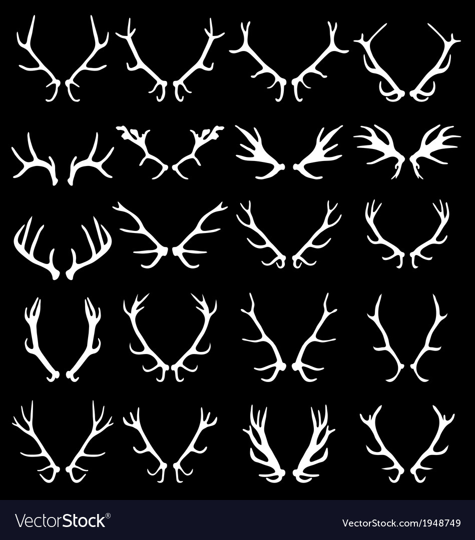 Antlers Royalty Free Vector Image Vectorstock