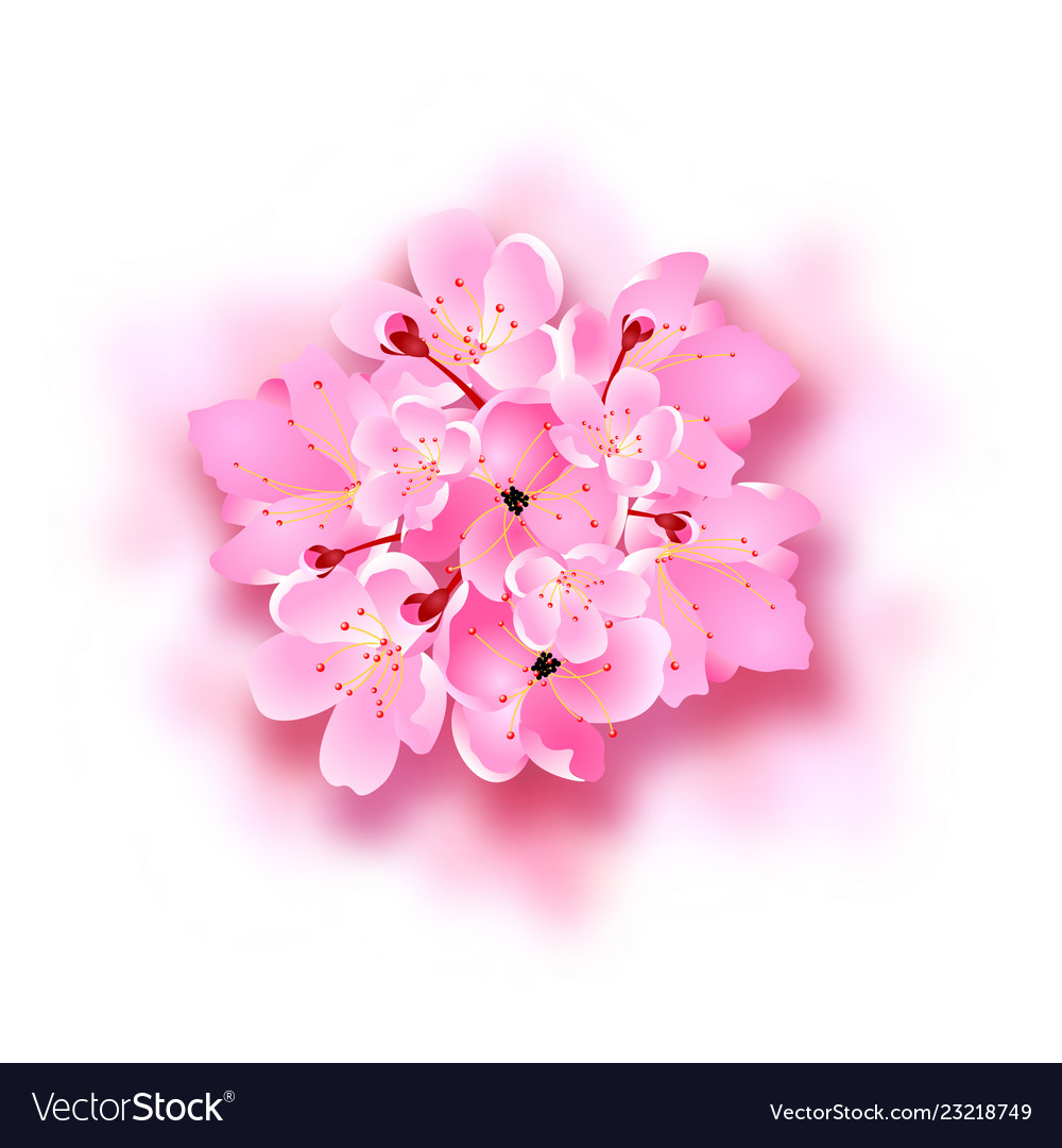 Decorative sakura flowers bouquet design