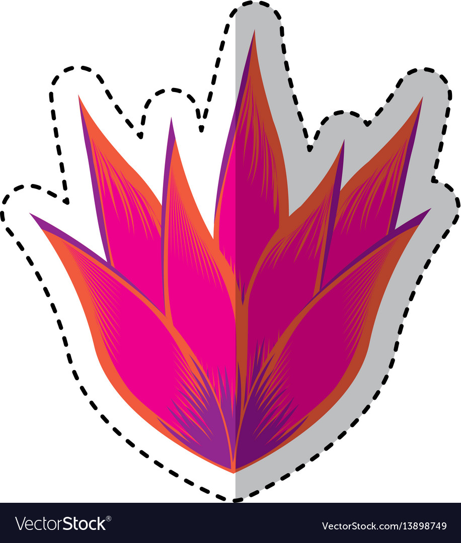 Exotic and tropical flower icon