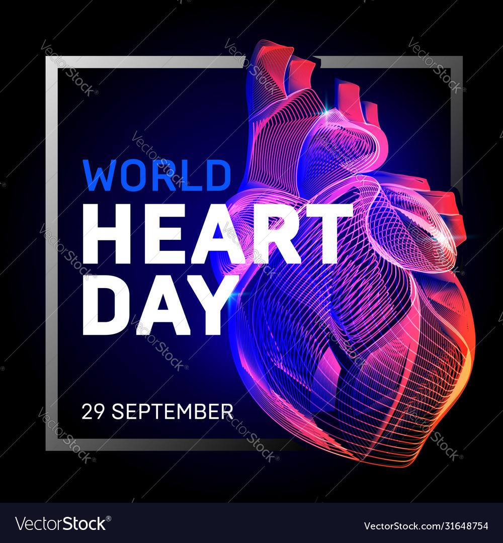 Human body heart with abstract 3d geometry lines vector image Human body heart with abstract 3d geometry lines