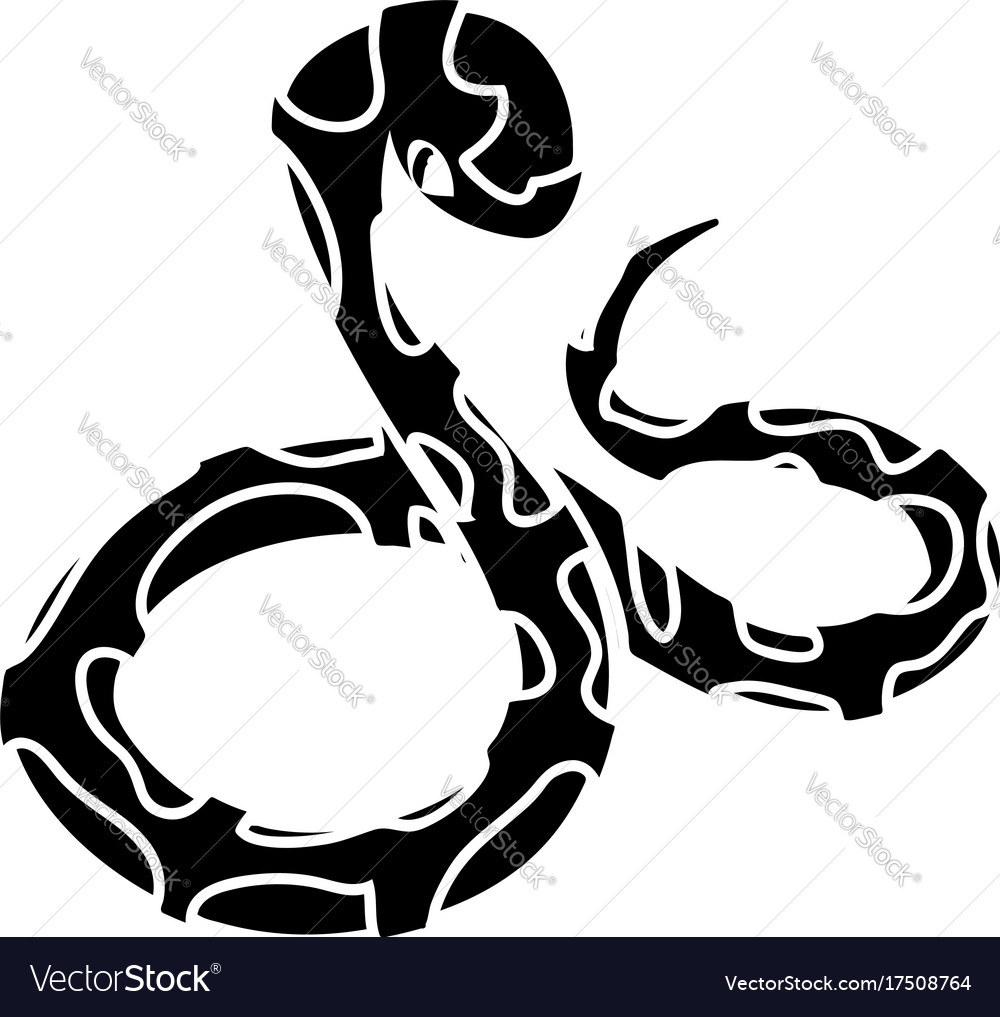 vector boa