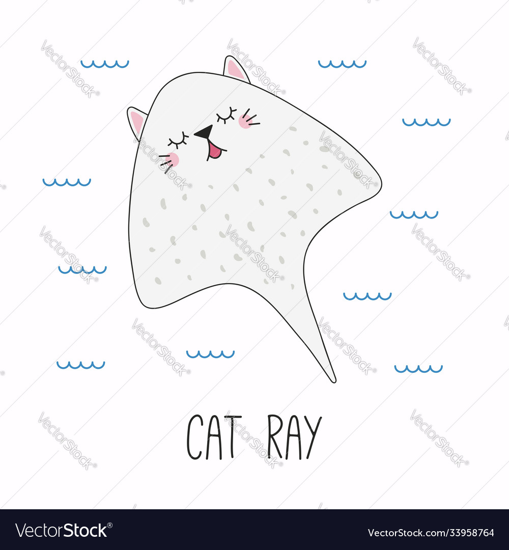 Niedliche Katze Stingray