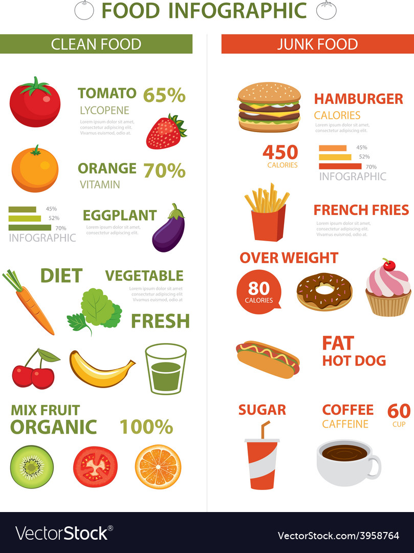 Healthy and junk food infographic Royalty Free Vector Image