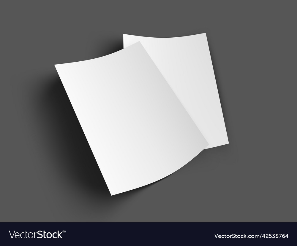 Two sheet of paper a4 size isolated on gray Vector Image