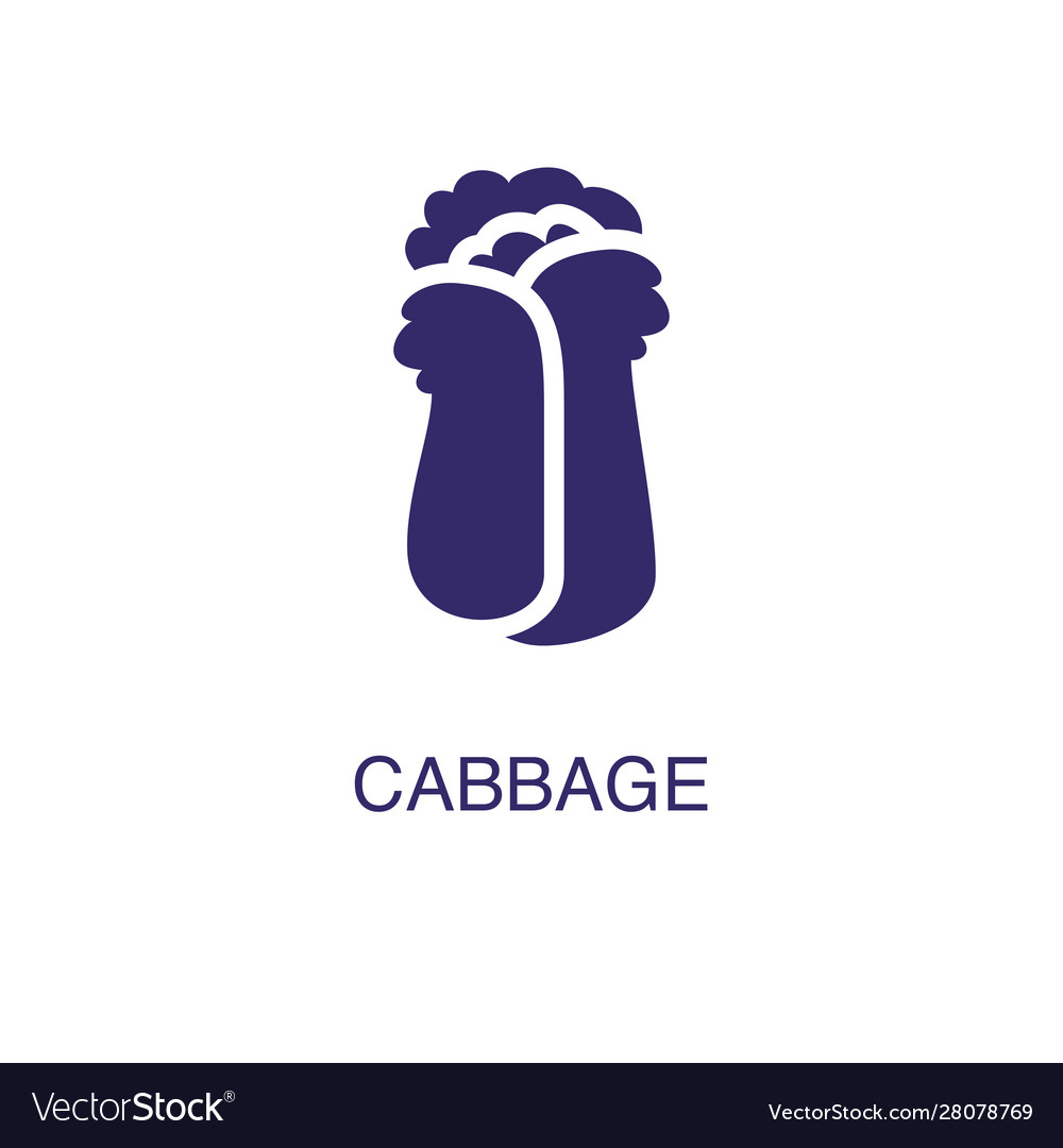 Cabbage element in flat simple style on white