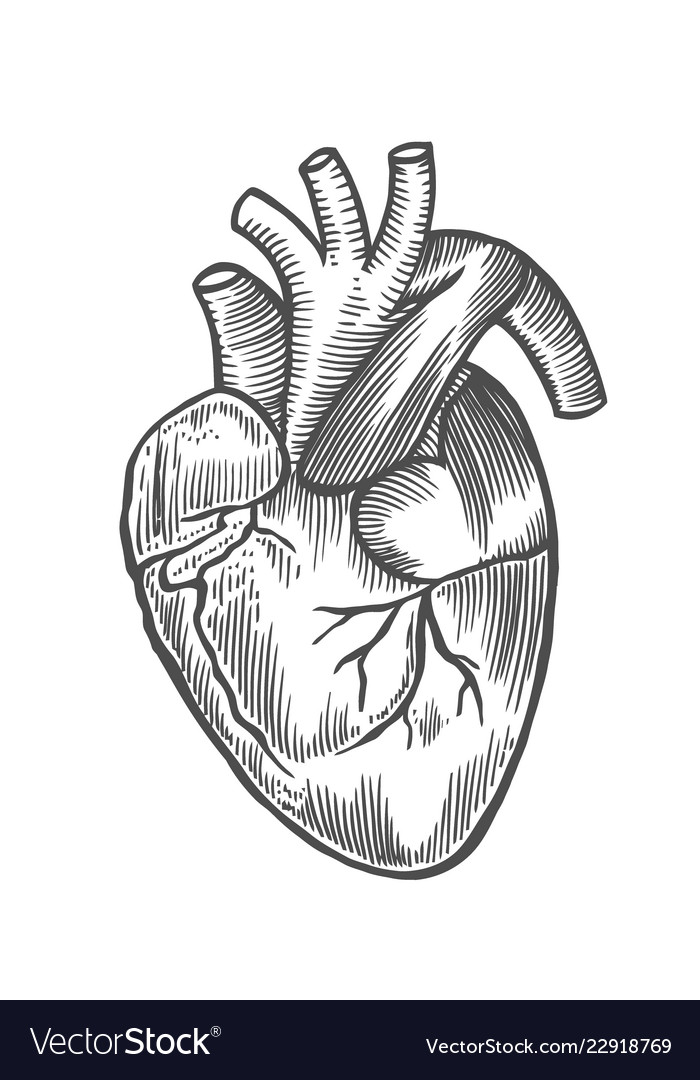 Engraving human heart