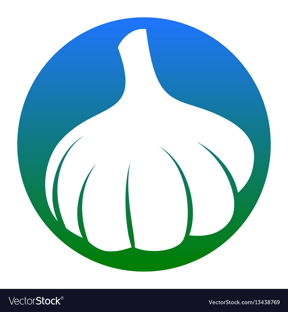 Knoblauch einfaches Zeichen weiße Ikone in blau vector image Knoblauch einfaches Zeichen weiße Ikone in blau