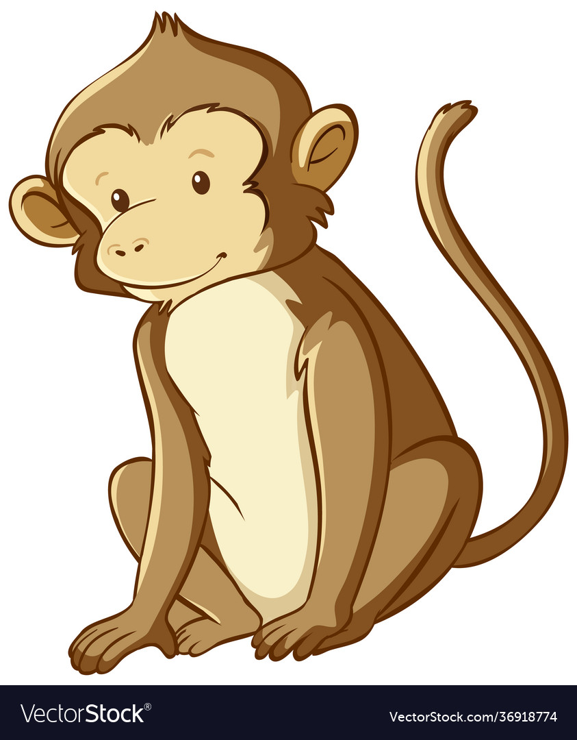 Monkey cartoon style isolated Royalty Free Vector Image