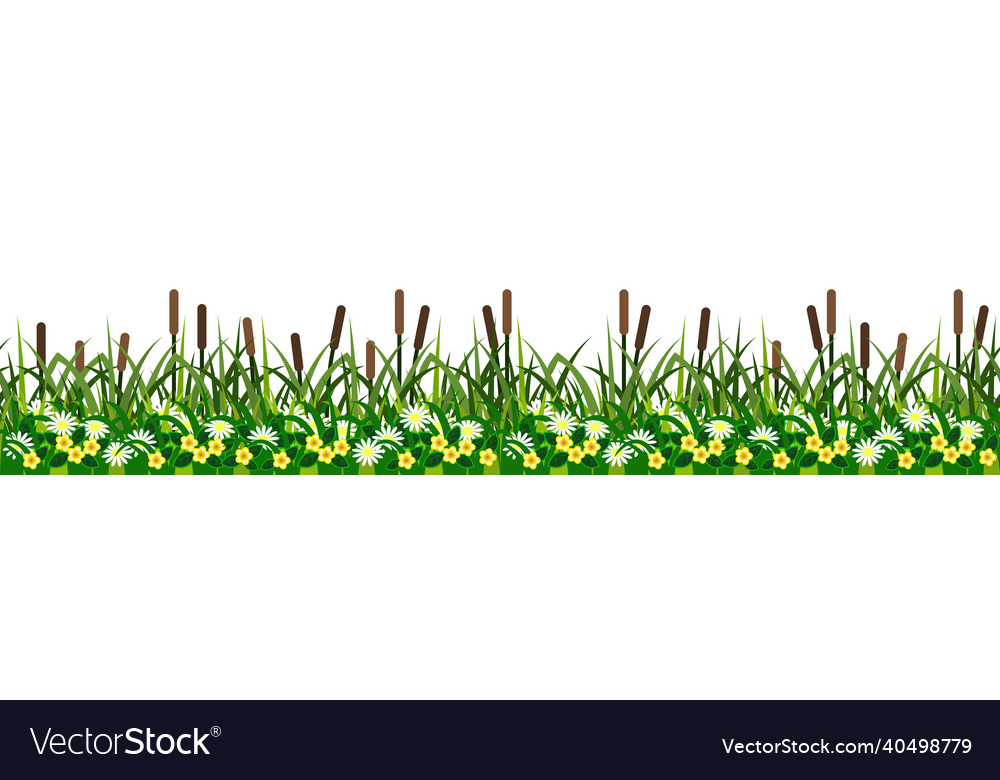 Seamless grass reeds and flowers green summer vector image Seamless grass reeds and flowers green summer
