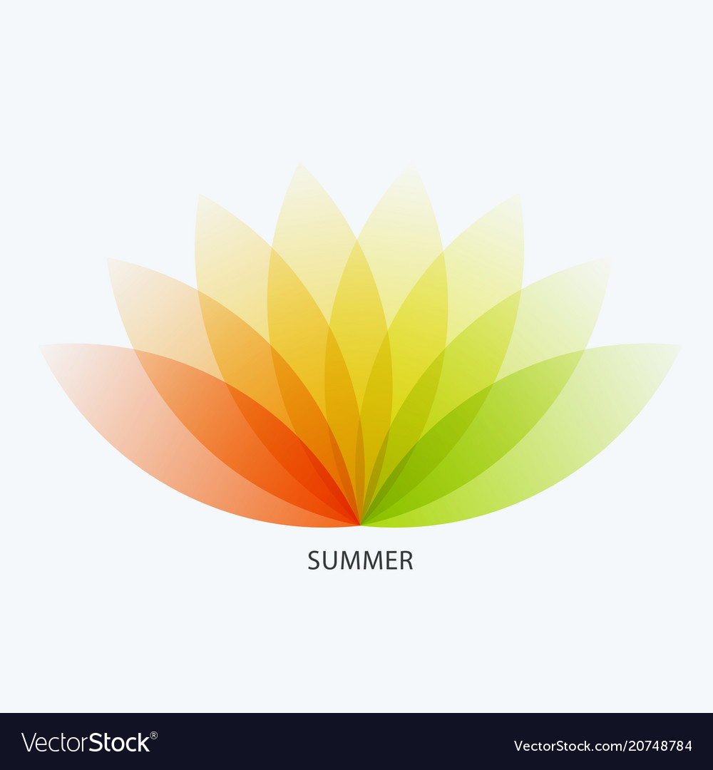 Abstract design colourful elements vector image Abstract design colourful elements