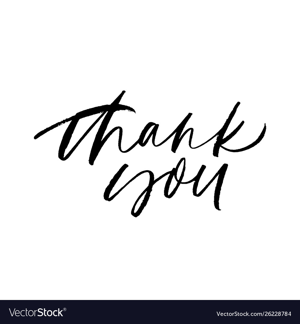 Thank you handwritten ink pen lettering Royalty Free Vector