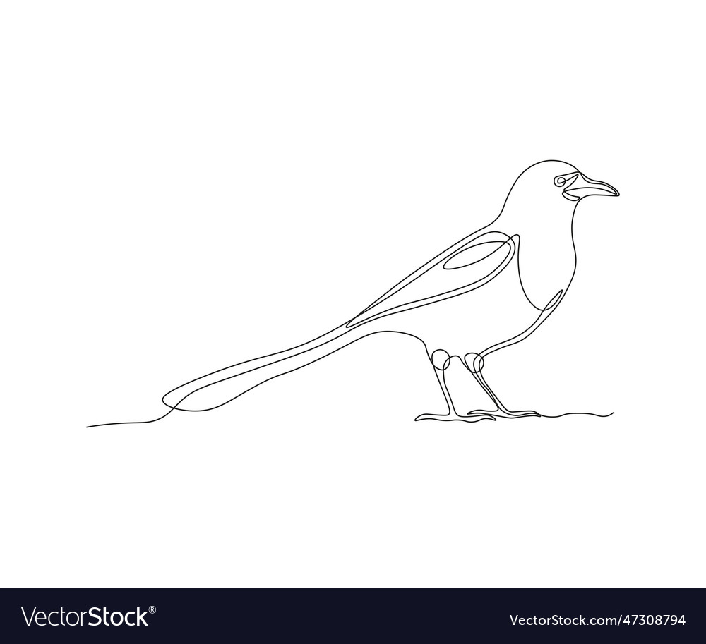Abstract magpie bird continuous one line drawing