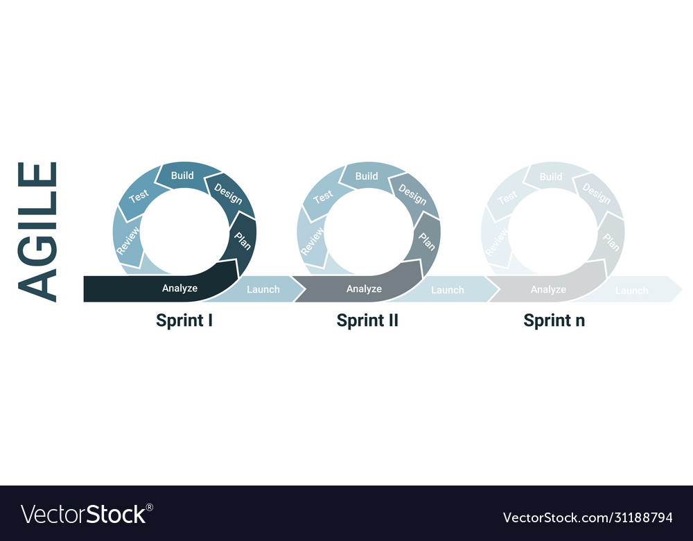 Agile lifecycle development process diagram vector image Agile lifecycle development process diagram