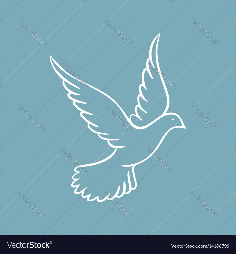 white dove holy spirit