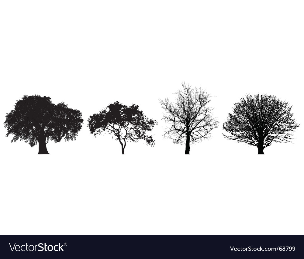 Four Silhouetted Trees