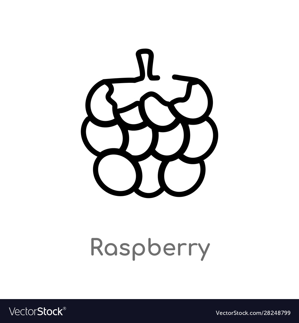 Outline raspberry icon isolated black simple line