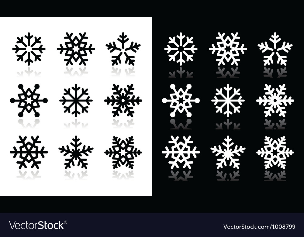 Snowflakes icons with shadow on black and white ba