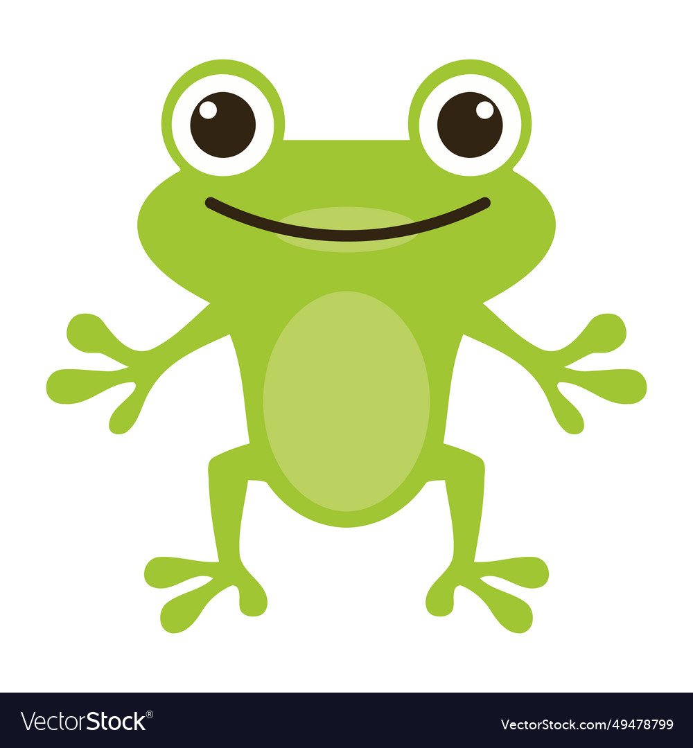 Young frog wildlife Royalty Free Vector Image - VectorStock