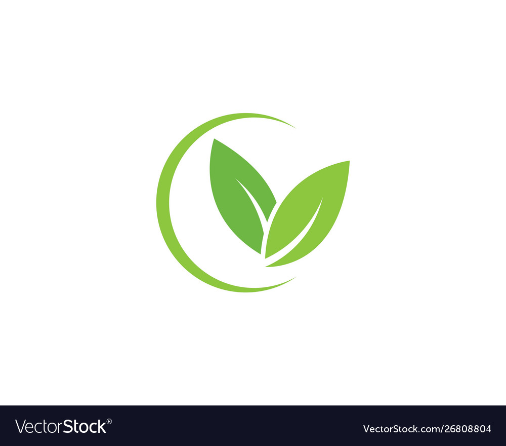 Green leaf ecology nature element Royalty Free Vector Image