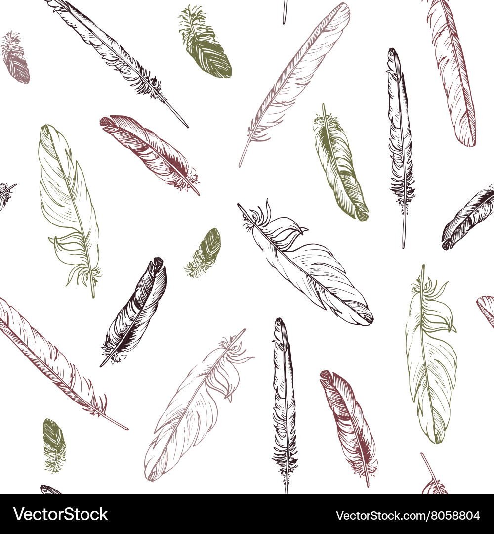 Seamless pattern with feathers Royalty Free Vector Image