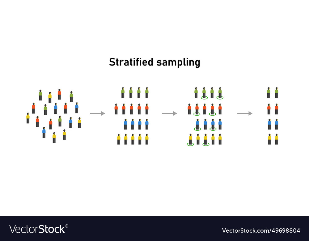 Stratified random sampling statistical method Vector Image