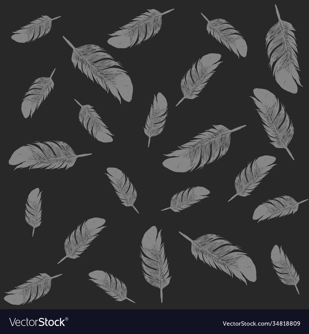 Pattern with gray feathers on black background vector image Pattern with gray feathers on black background