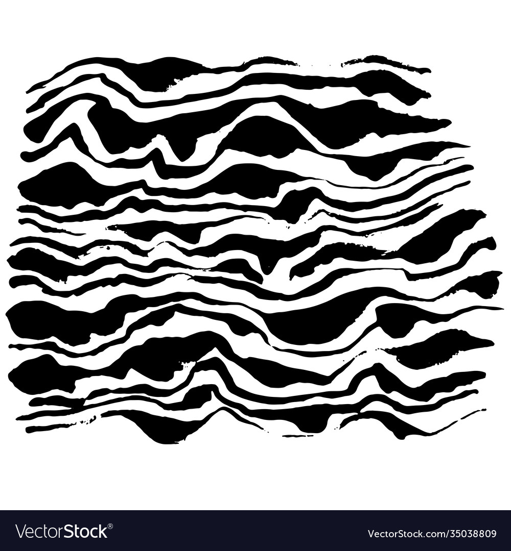 Zebra print pattern white vector image Zebra print pattern white