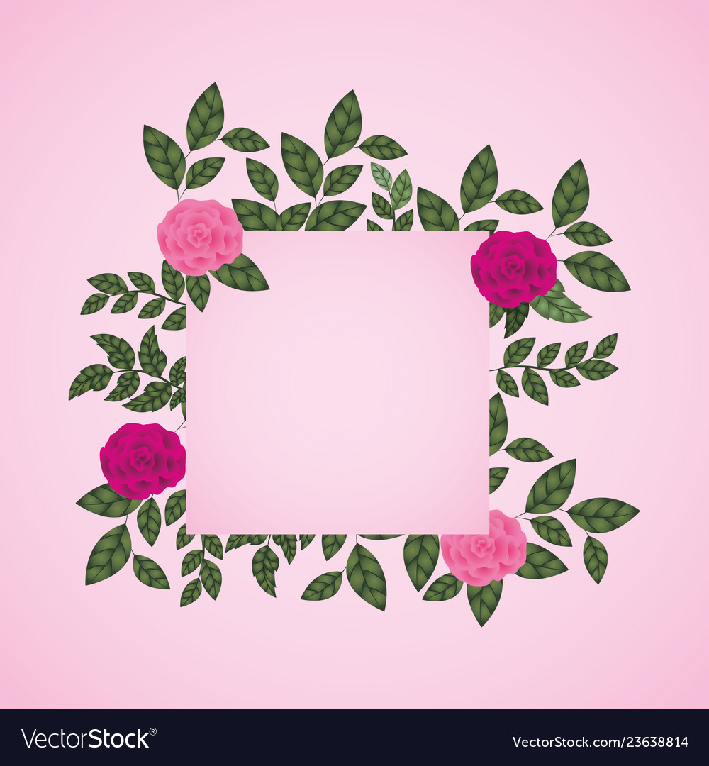 Flowers roses decoration square frame