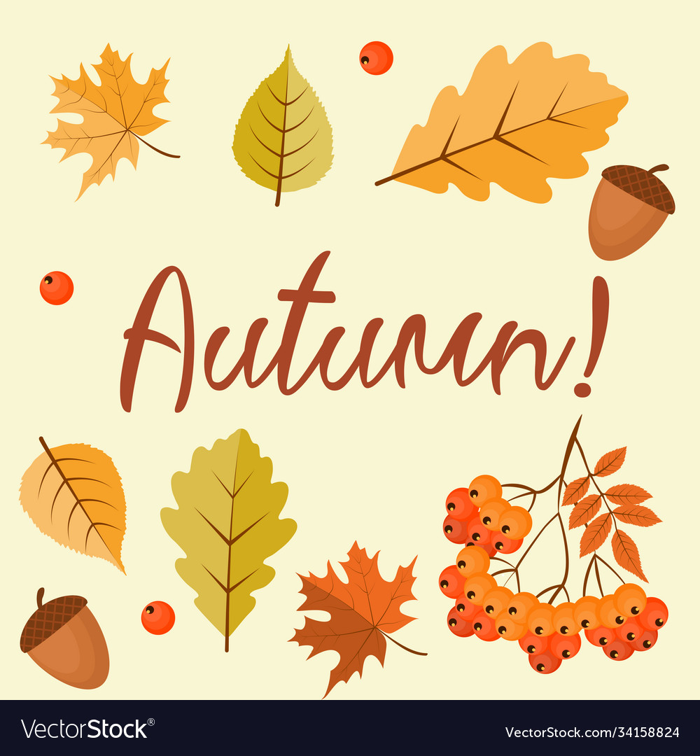 Abstract autumn background with falling leaves Vector Image