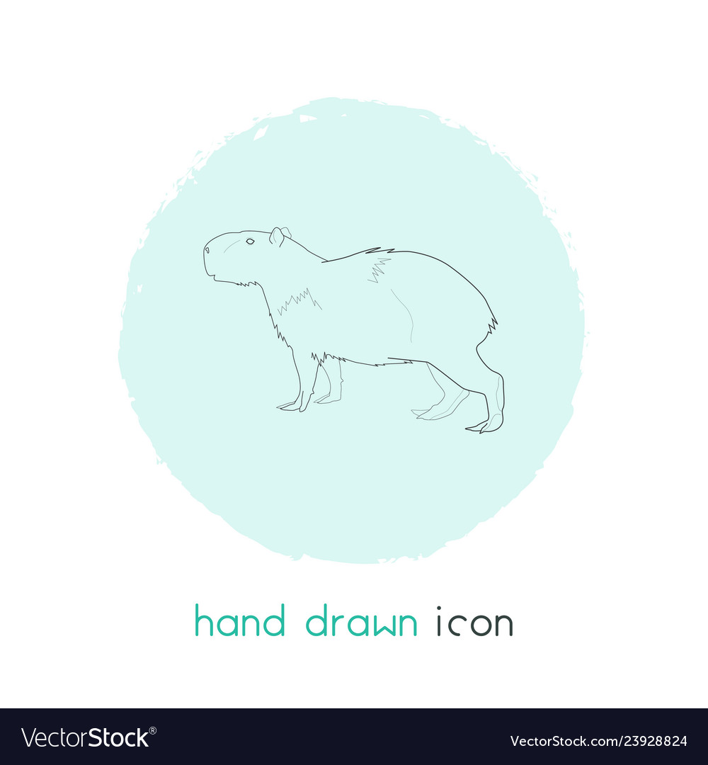 Capybara icon line element vector image Capybara icon line element